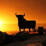 Spanish Language and Spanish Culture