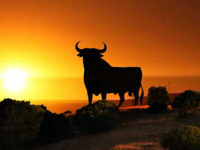 Spanish Language and Spanish Culture