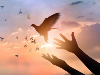 Religious Dialogue and Culture of peace
