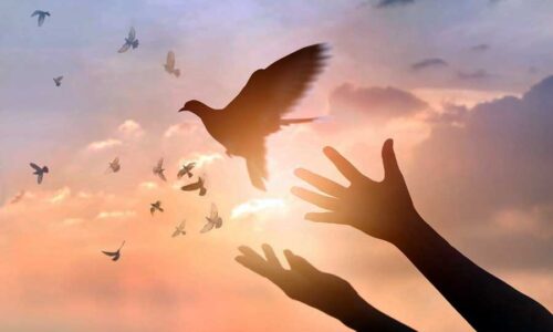 Religious Dialogue and Culture of peace