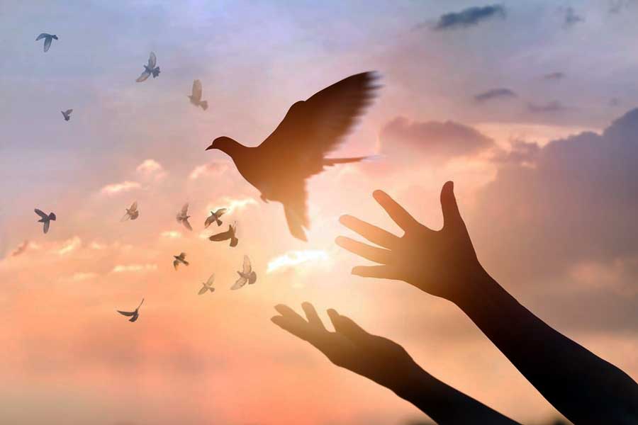 culture of peace