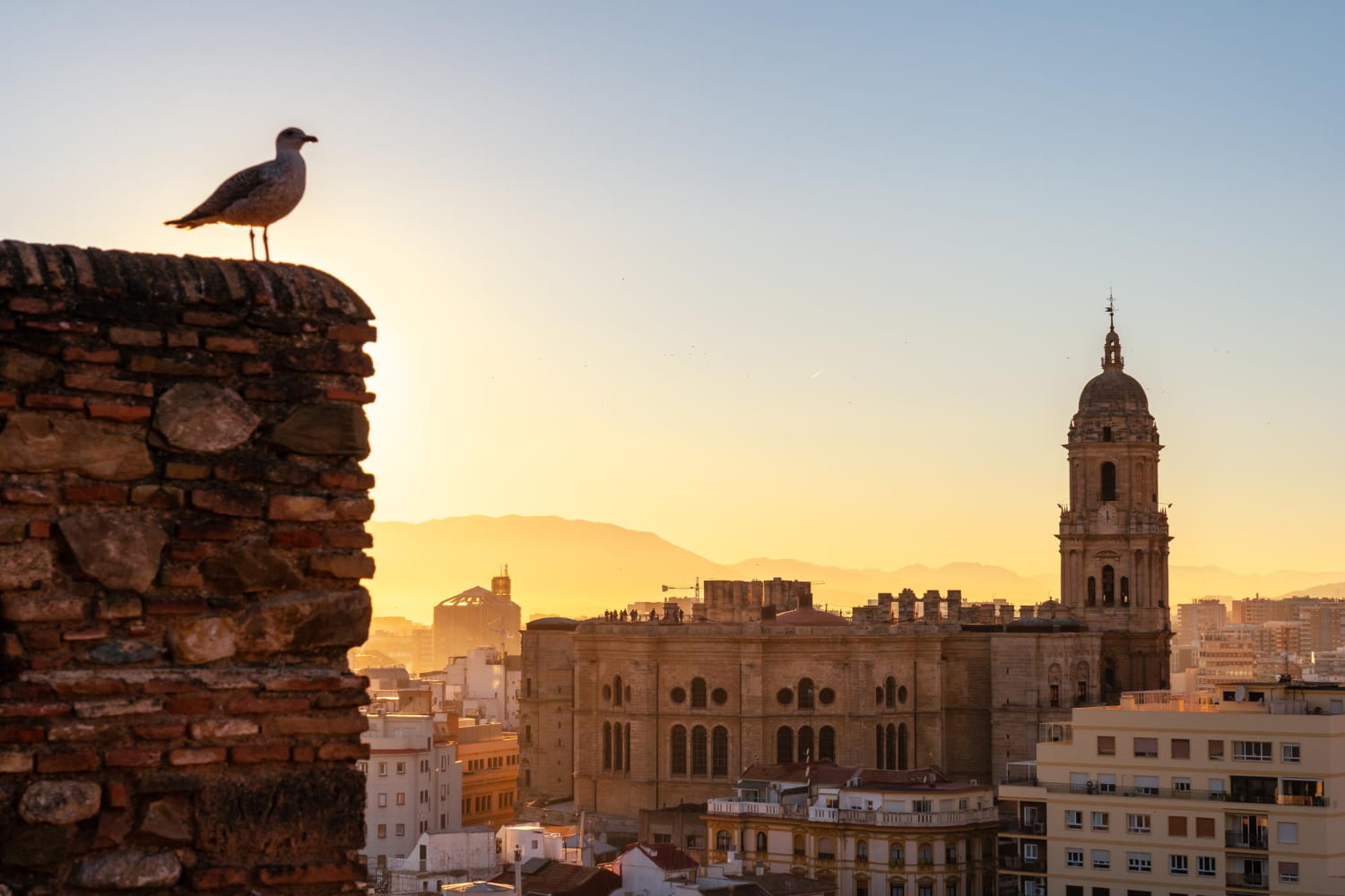 History of Spain Course Malaga